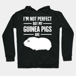 Cute And Funny Pet Guinea Pig Graphic Hoodie